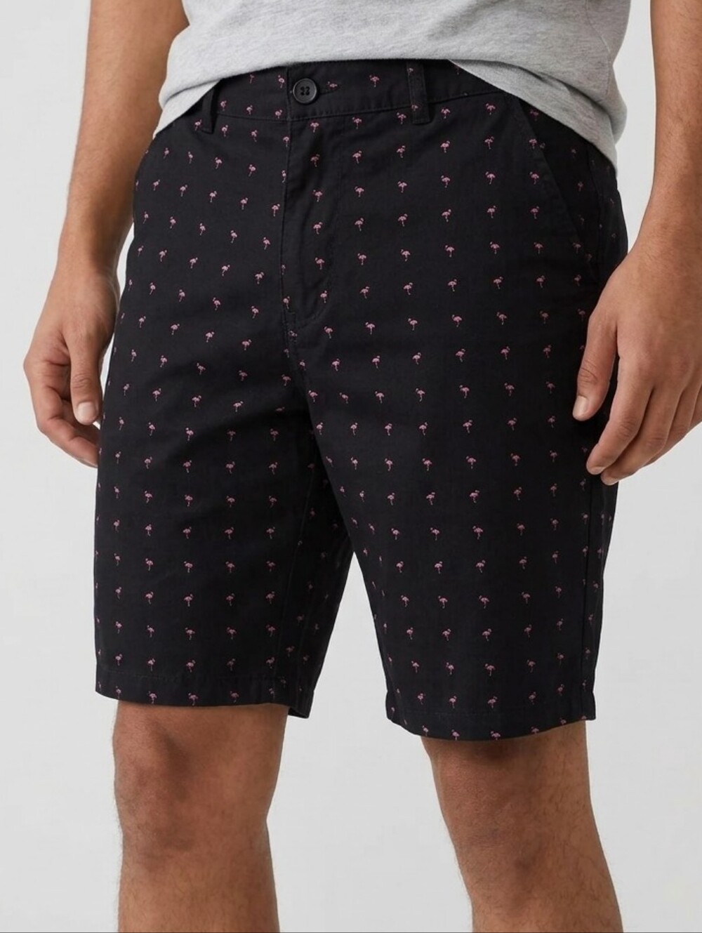 Public Record Men's Flamingo Print Chino Shorts, Size 32